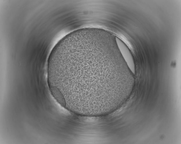 X0000090471084200708102128