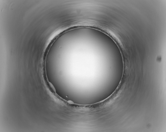 X0000090471085200708102128