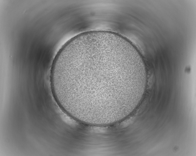 X0000090471086200708102128