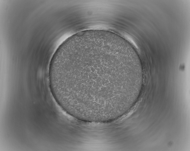 X0000090471087200708102128