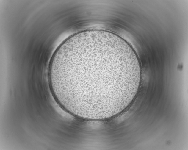 X0000090471090200708102128