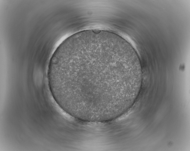 X0000090471091200708102128