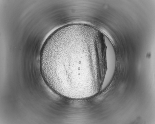 X0000090471092200708102128