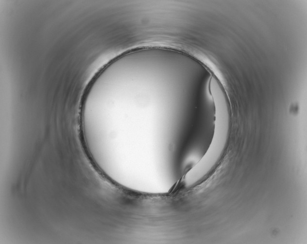 X0000090471093200708102128