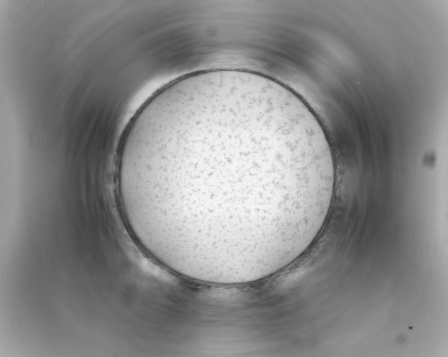 X0000090471094200708102128