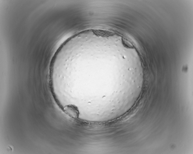 X0000090471095200708102128