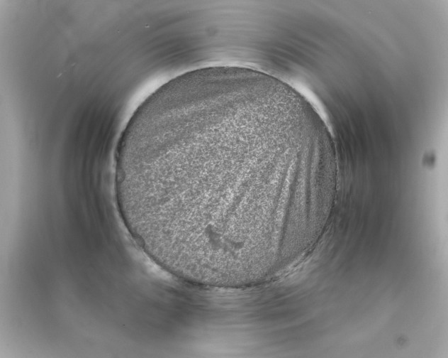 X0000090471096200708102128