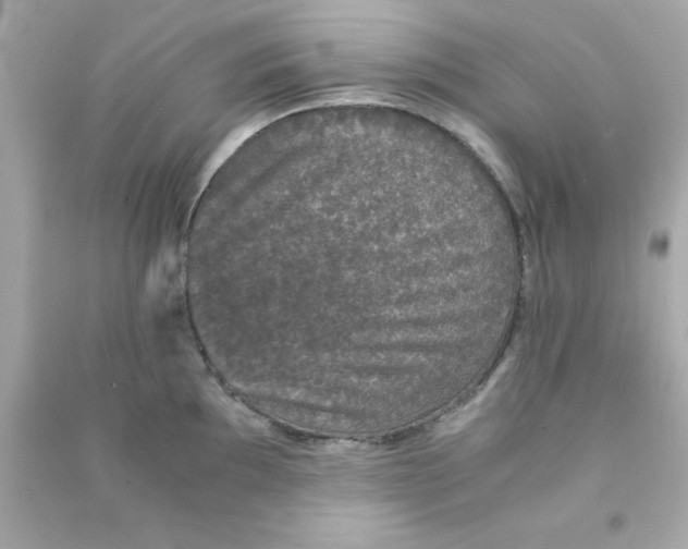 X0000090471097200708102128