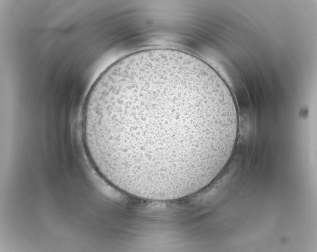 X0000090471098200708102128