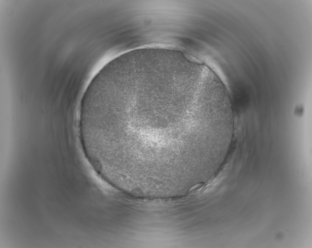 X0000090471099200708102128