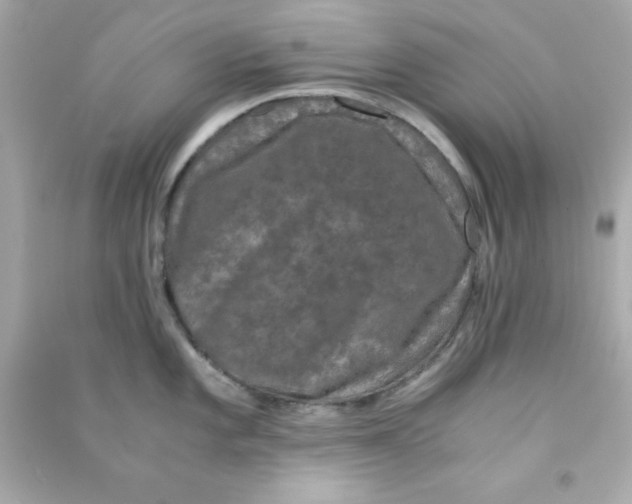 X0000090471101200708102128