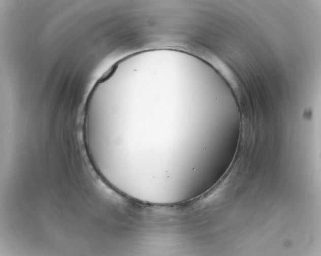 X0000090471102200708102128