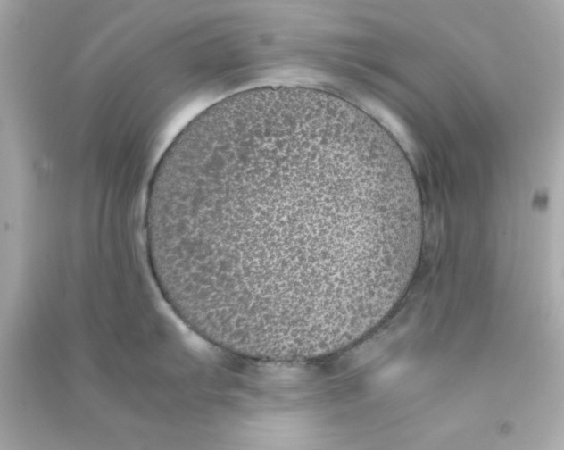 X0000090471103200708102128