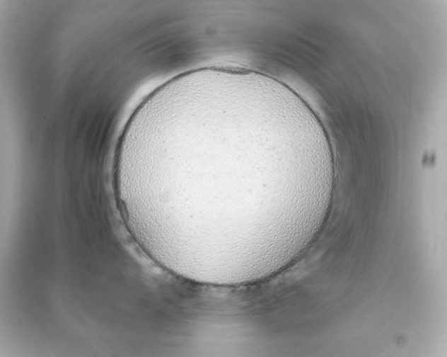 X0000090471104200708102128