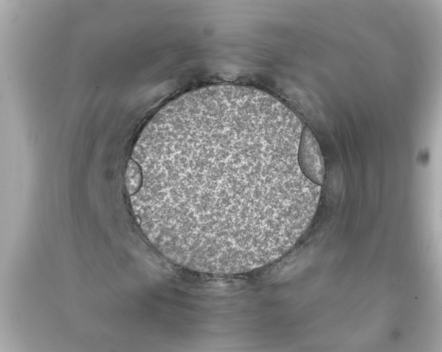 X0000090471105200708102127