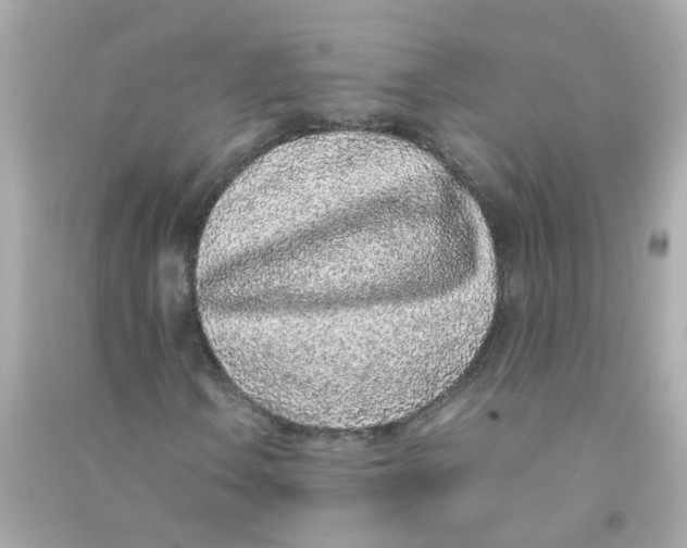 X0000090471106200708102127