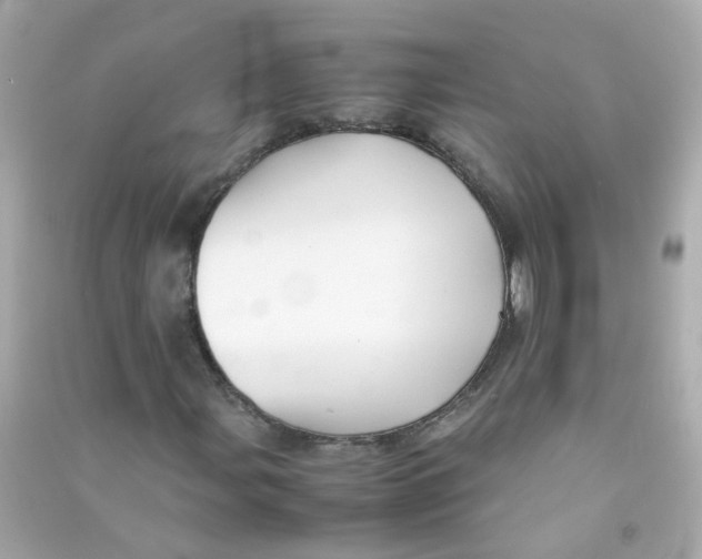 X0000090471107200708102127