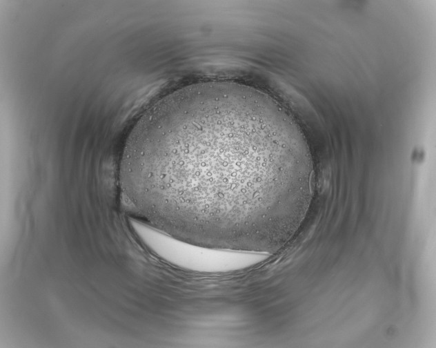 X0000090471108200708102127