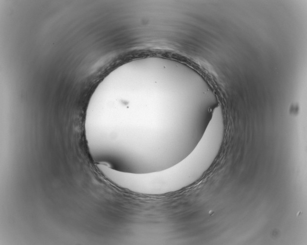 X0000090471110200708102127