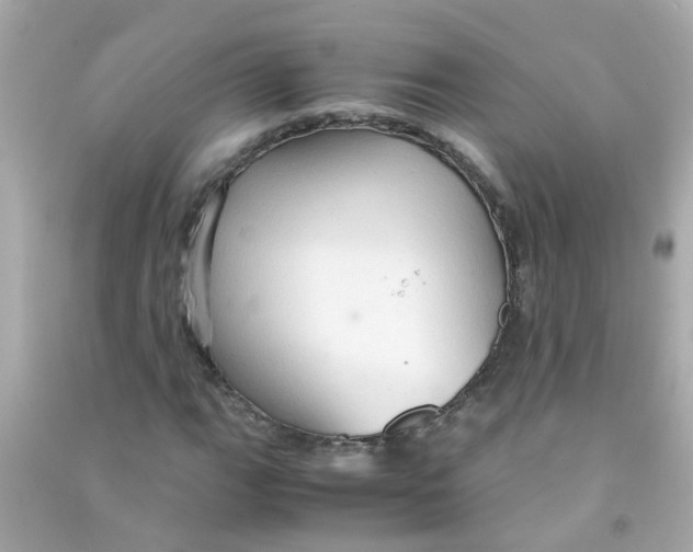 X0000090471111200708102127