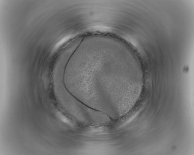 X0000090471112200708102127