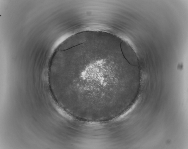 X0000090471114200708102127