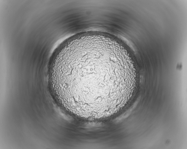 X0000090471117200708102127