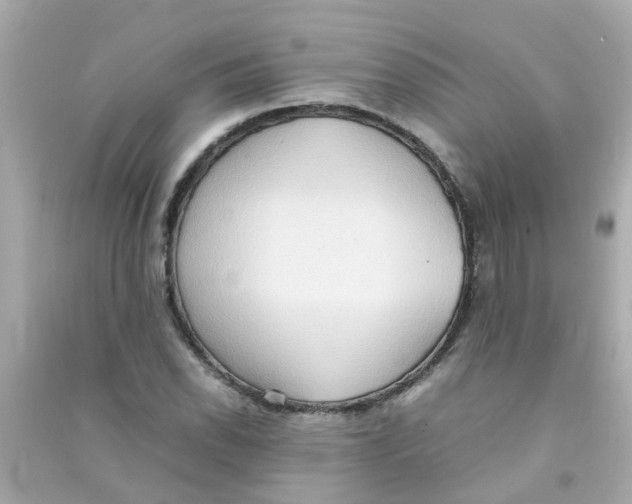 X0000090471118200708102127