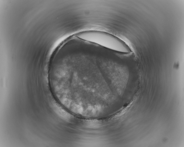 X0000090471120200708102127