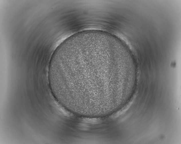 X0000090471121200708102127