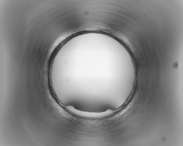 X0000090471122200708102127