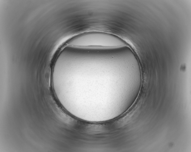 X0000090471123200708102127