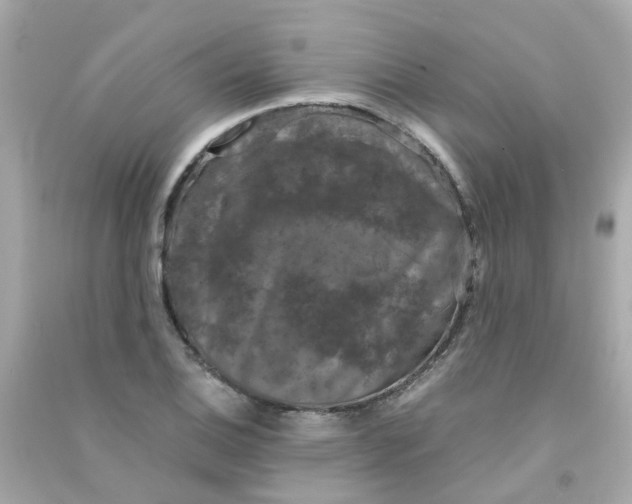 X0000090471124200708102127