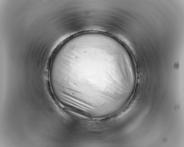 X0000090471125200708102127