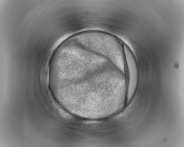 X0000090471127200708102128