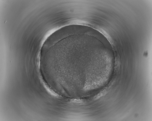 X0000090471128200708102128