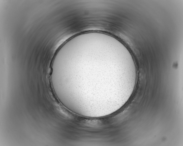 X0000090471129200708102128