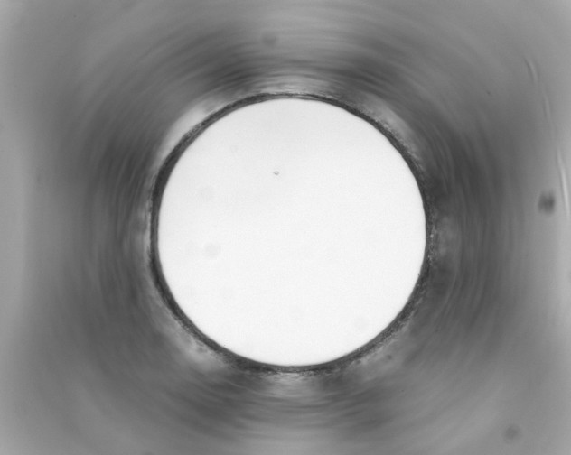 X0000090471130200708102128