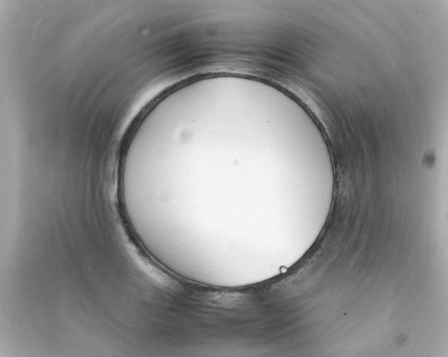 X0000090471131200708102128