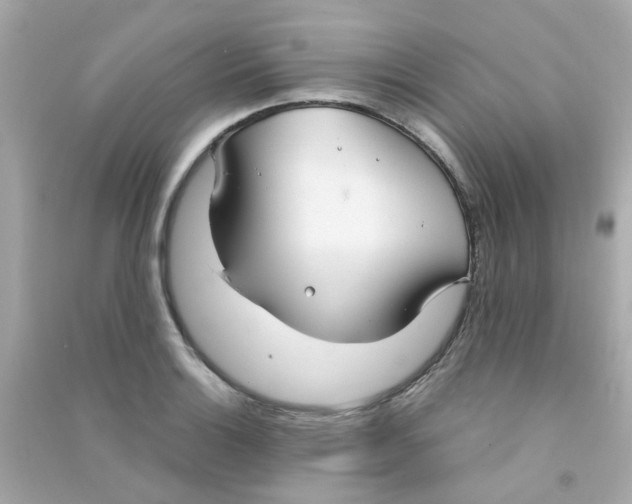 X0000090471132200708102128