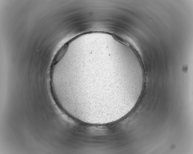 X0000090471133200708102128