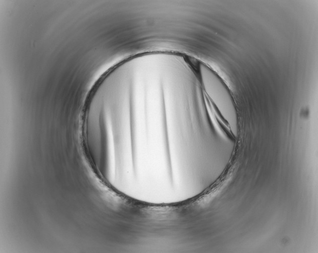 X0000090471134200708102128