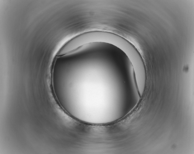 X0000090471136200708102128