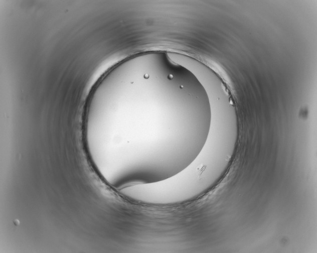 X0000090471138200708102128