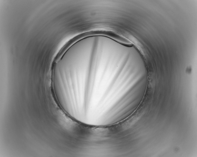 X0000090471140200708102128