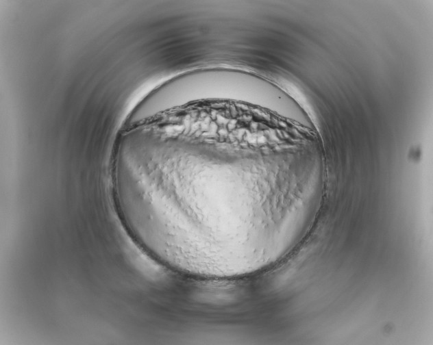 X0000090471141200708102128