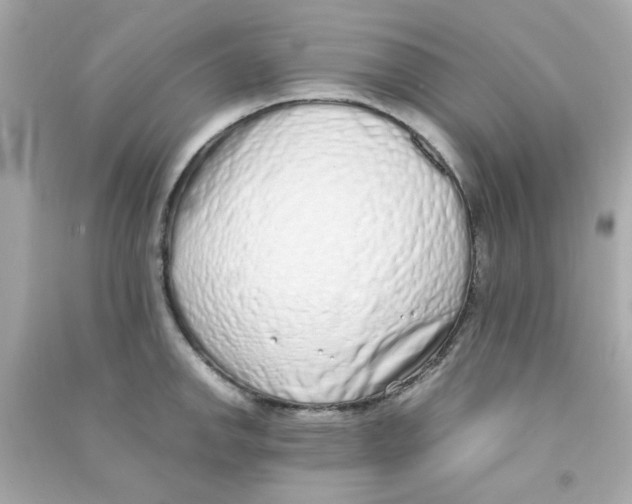 X0000090471142200708102128