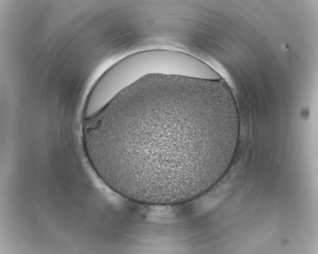 X0000090471144200708102128