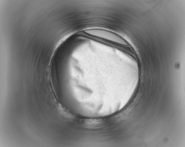 X0000090471145200708102128