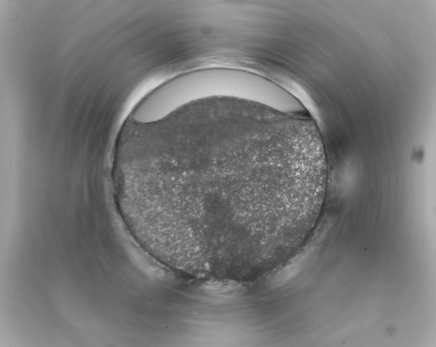 X0000090471146200708102128